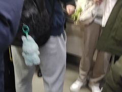 -大望路(地铁站)