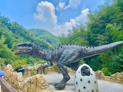 -将军关探险漂流