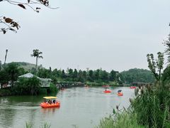 -枫香湖儿童公园