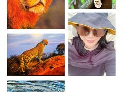 -罗红摄影艺术馆