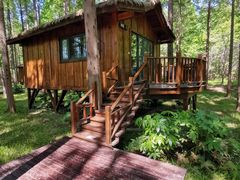 -黄海国家森林公园