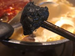 墨鱼丸-鼎王麻辣锅(七贤店)