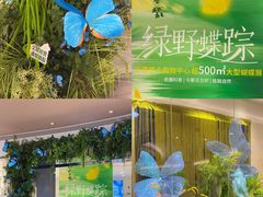 -深圳龙华星河COCO City(民治店)