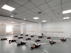 -西安小天鹅艺术团(金花路校区)