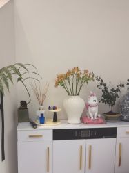 -WENDY·温迪皮肤管理