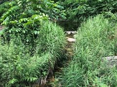 -碓臼峪自然风景区