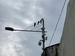 -槟城街头艺术街区