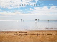 -碧海金沙