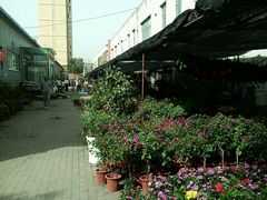 -明珠平价超市(南昌路店)