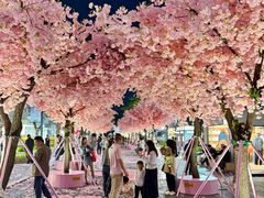 -东莞松山湖万象汇