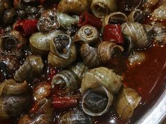 香辣螺丝-宝记烧烤·碳锅羊肉·羊蝎子火锅·夜食社(文体路创始店)