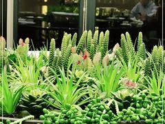 -湖滨客舍·湖北菜