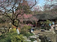 -杭州植物园