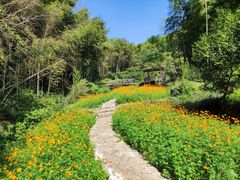 -宁波浙东大竹海景区
