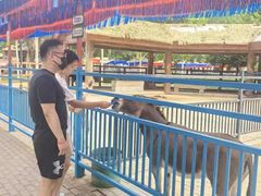-北戴河集发农业梦想王国