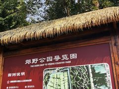 -西青郊野公园
