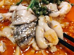 -付掌柜在成都·热炒砂锅集(金禾店)