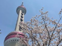 -东方明珠广播电视塔