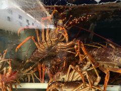 -众彩物流水产市场