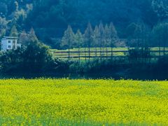 -新安江山水画廊风景区