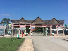 -上海都市菜园