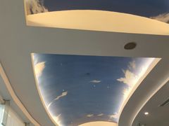 -云中小雅