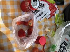 -福田红树林生态公园