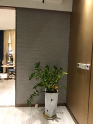 -苑苑vbeauty科技美容SPA