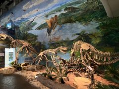 -自贡恐龙博物馆