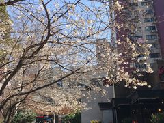 -玛格萝妮比萨屋(四平店)