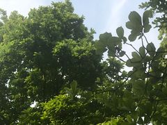 -钓鱼台国宾馆