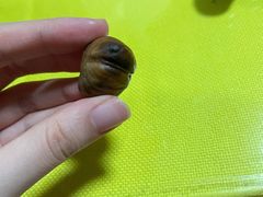 -金栗王(清扬路店)