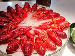 经典冰镇龙虾-红盔甲·小龙虾(天钥桥店)