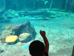 -华夏文旅海洋公园