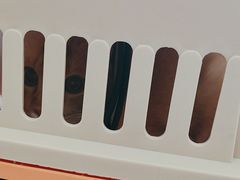 -乐琪宠物医院·犬猫专科·骨外科·急重症