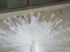 -宁波九龙湖开元度假村