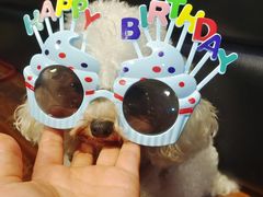 -夜猫子串吧·龙虾.江西小炒(万塘路店)