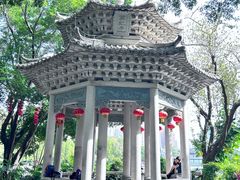 -荔湾湖公园