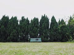 -南沙蒲洲花园