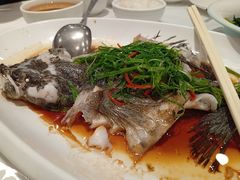 -顺德佬华侨城店·商务宴请·团建