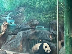 -武汉动物园