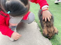 -小鱼草莓采摘园农家乐·小鱼餐厅