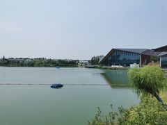 -上海长兴岛郊野公园