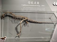 -自贡恐龙博物馆