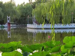 -丰台花园