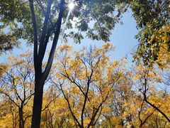 -永定河休闲森林公园