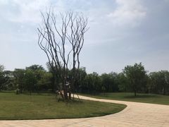 -盘龙城国家考古遗址公园