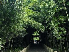 -采石矶景区