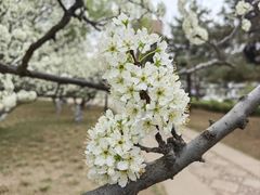 -元大都城垣遗址公园