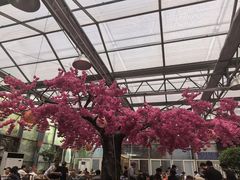 -老磨油饼(高陵店)